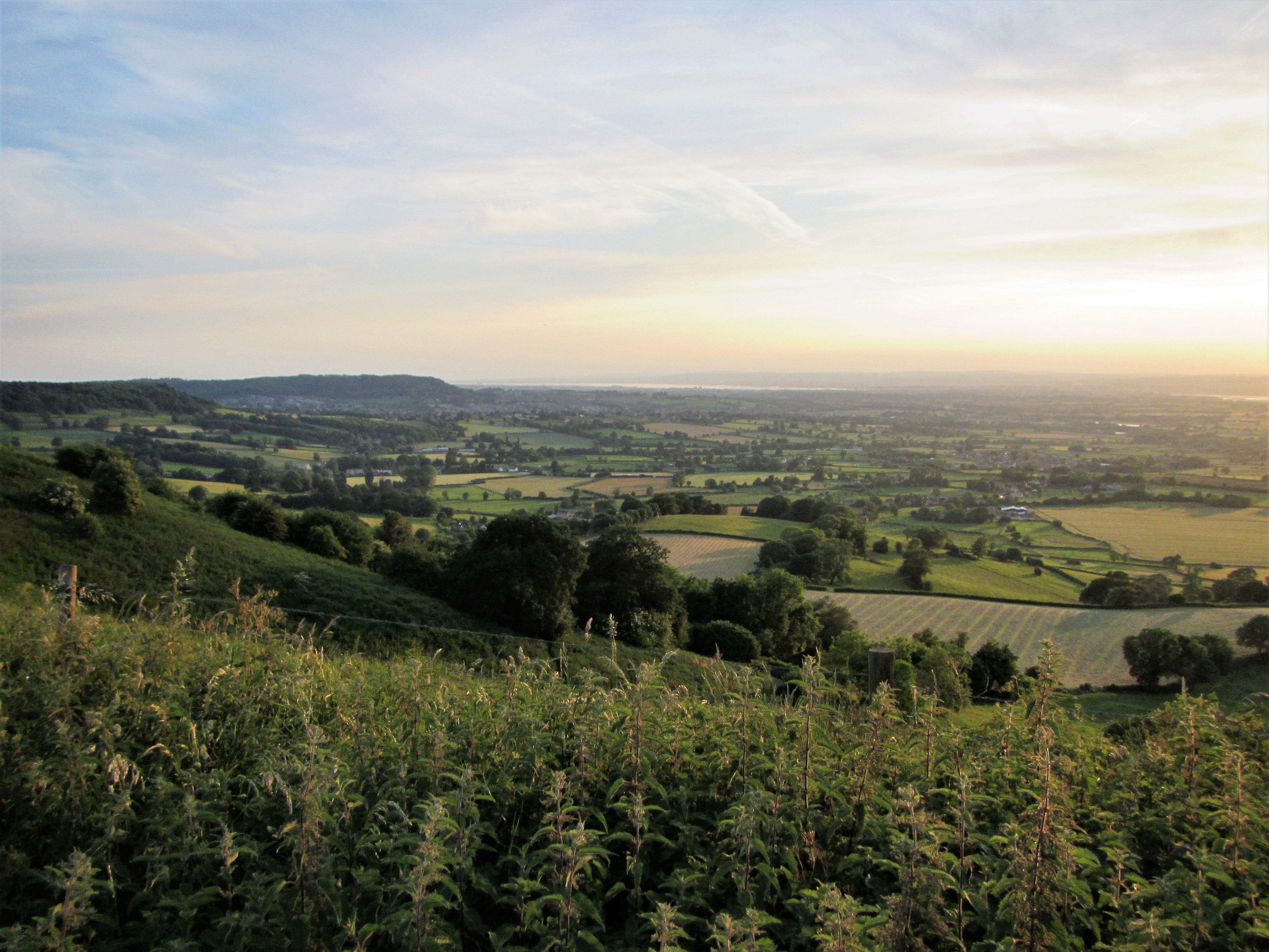 View down Severn Vale from Coaley Peak - C Aistrop