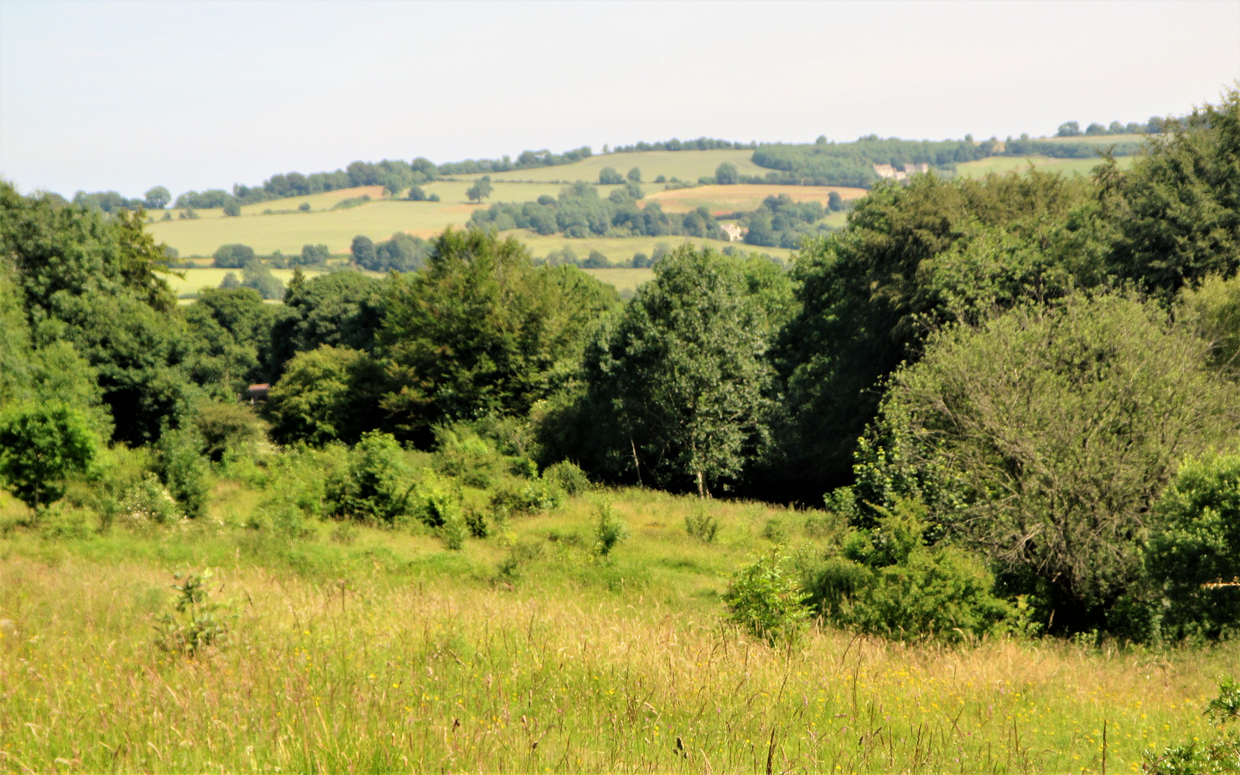 Rudge Hill - view from the site June 2018 C Aistrop